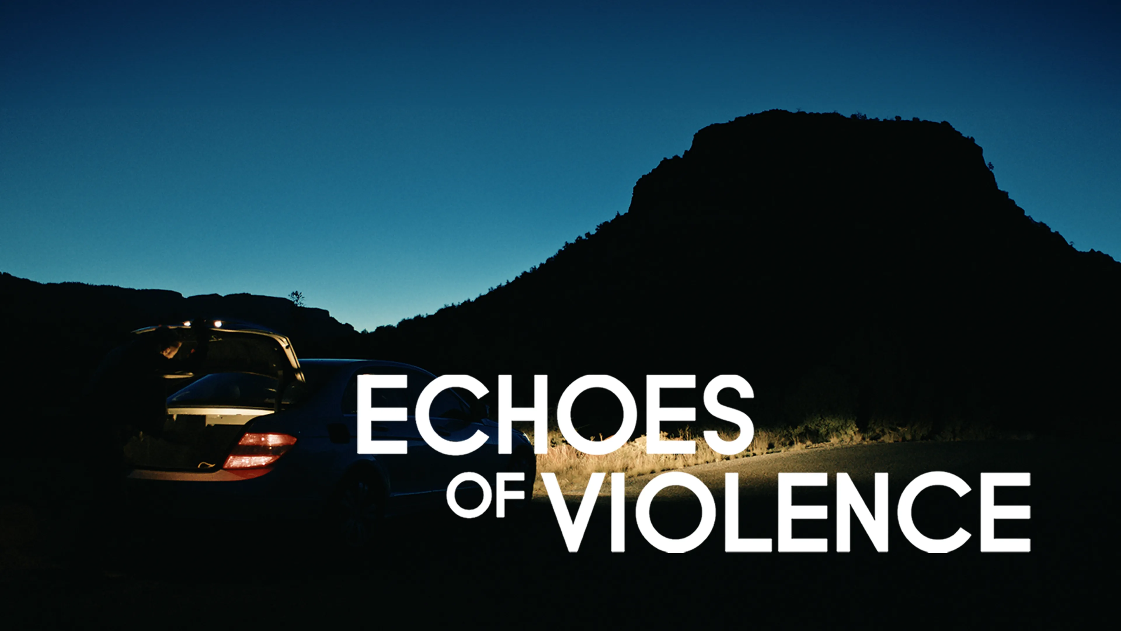 Echoes of Violence poster